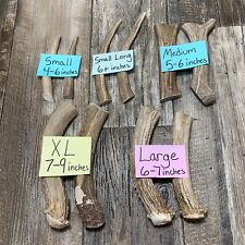 Montana Premium Deer Antler Dog Chews, various sizes for all dogs picture