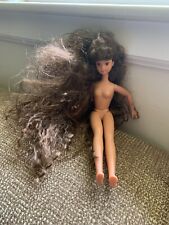 Vintage Totally Hair Barbie Stacey COURTNEY 1992  Brunette Teen Sister Doll picture