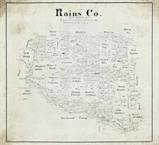 1888 Farm Line Map of Rains County Texas picture