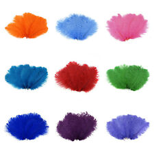 Ostrich DRABS FEATHER Plumes 10-16