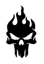 Flame Skull Head Vinyl Decal Car Truck Laptop Sticker picture
