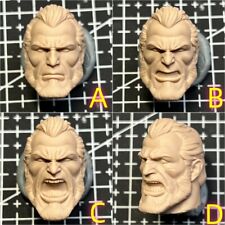 1/12 Scale Mezco/vtoys The Immortal Head Carved Model Toys picture