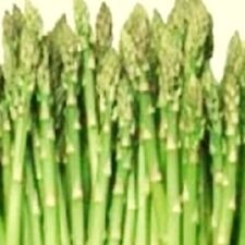 Mary Washington Asparagus Seeds | NON-GMO | Heirloom | Fresh Garden Seeds picture