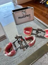 Acadental Modupro Typodont picture