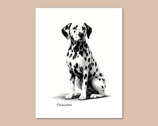 DALMATION Dog Pencil Drawing Photo Art Print - 5x7 8x10 or 11x14 (D2) picture