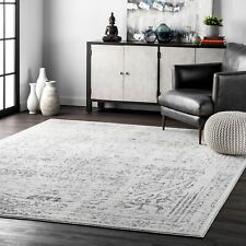 nuLOOM Abstract Traditional Grey Distressed Area Rug picture