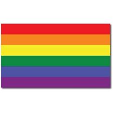 Gay Pride LGBTQ Rainbow Flag Car Magnet Decal, 7x12 Inches, in Support of LGBTQ picture