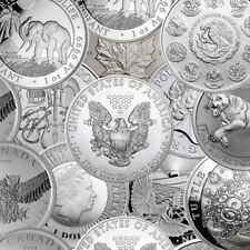 Random Year - 1 oz Silver 999 Fine Silver BU - Mint of Our Choice picture