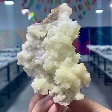 255G Museum Quality White Flowery Hydrozincite Crystal Cluster Mineral Specimen picture