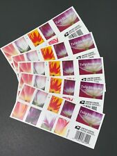 SEALED 2023 Tulip Blossoms US Postage 100 Count Stamps (5 Sheets of 20) picture