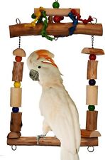 Super Bird Creations SB1159 Mega Swing Bird Toy, Large/XL Bird Size, 24 x 14 picture