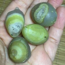 54g 4pcs Bonsai Suiseki-Natural Gobi Agate Eyes Stone-Rare Stunning Viewing 725 picture