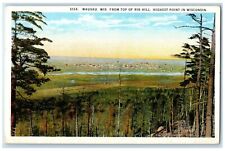 1920 Scenic View Top Rib Hill Highest Point Wausau Wisconsin WI Vintage Postcard picture