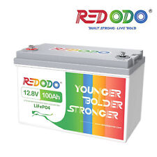 Redodo 12V 100Ah 200Ah LiFePO4 Lithium Battery with BMS for RV Off-Grid Marine picture