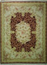 Fine Quality 9x11 Rug Handmade in Pakistan AUBUSSON PIX-16724 picture