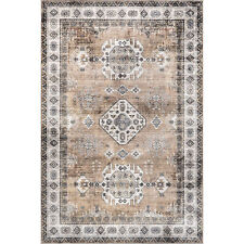 nuLOOM Evelina Traditional Rust Indoor Machine Washable Area Rug picture