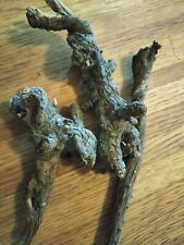 1 Oz Wild New Mexican Osha Root Sustainably Harvested - Fresh Dried in 2023 - picture