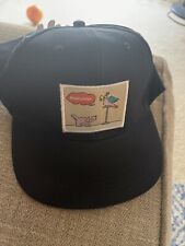The Nick Box Nickelodeon Spring 2023 Snapback Hat picture