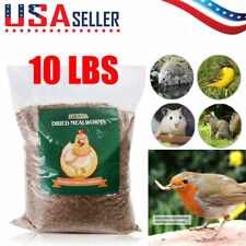 10 LBS Bulk Dried Mealworms for Wild Birds Food Blue Bird Chickens Hen Treats picture