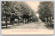 Kendallville Indiana~State St Looking South From Mitchell~Nice Homes~c1907 picture