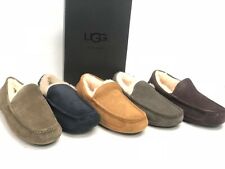 UGG Men's Ascot Slippers 1101110 Shoes Sheepskin Suede Multiple Colors picture