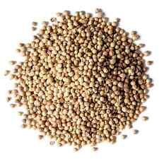 Coriander Seeds, Non-GMO Verified — Kosher, Raw, Vegan — by Food to Live picture