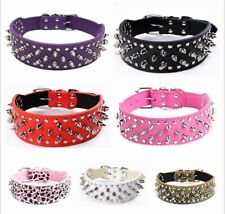 Spiked Studded PU Leather Dog Collar Pit Bull BLACK L XL FOR LARGE BREEDS picture