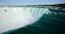 Photography Niagara Falls Rainbow and Seagull Limited Edition #1/100 picture