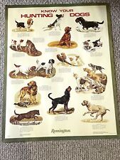 Vintage Know Your Hunting Dogs Poster by Remington Arms picture
