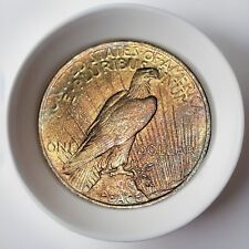 1922 Gorgeous Silver Peace Dollar BU+ 💎 Luster 🌈 Rose Gold Indigo Toning 57G picture