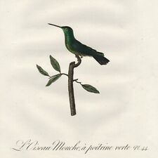 Scarce 1802 AUDEBERT & VIEILLOT Hand-Colored Folio Engraving HUMMINGBIRDS Pl. 44 picture