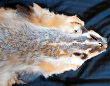 Antique Native American Soft Tanned Badger Totem Fur Leather Pelt/Tribal Art picture