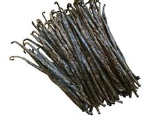 Madagascar Bourbon Vanilla Beans Grade B - Great for Extraction & Baking picture