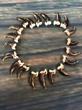 20 REAL COYOTE CLAWS TOES BONE MOUNTAIN MAN CRAFT SKULL JEWELRY EARRING GOTHIC picture