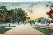 Picnic Grounds Willow Grove Philadelphia,PA 1909 Postcard picture