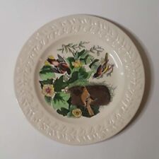 Vintage Adams Pottery Audubon Birds Of America Decor Plate 10.5” 1950s England picture