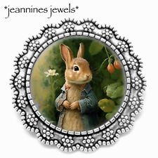 Peter Rabbit BROOCH Pin Vintage Beatrix Potter ART PRINT Birthday Gift Silver picture