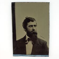 Big Beard Bowtie Man Tintype c1870 Antique 1/6 Plate Tweed Jacket Photo H902 picture