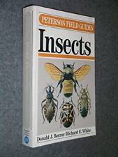 A Field Guide to Insects of America North of Mexico (Peterson Field Guide - GOOD picture