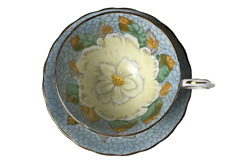 Tuscan Fine English Bone China Tea Cup & Saucer Baby Blue Magnolia picture