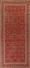 Pre-1900 Antique Russian Karabagh Vegetable Dye Hand-made Runner Rug 5x12 Carpet picture