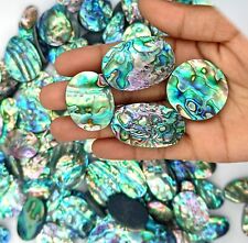 Natural Abalone Shell Piece Wholesale Lot Abalone shell For jewelry making 72408 picture