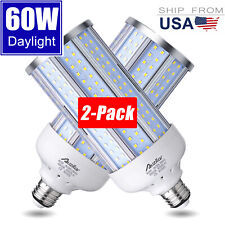 2-Pack 60W (500W Equivalent), Daylight, E26 Standard Base, LED Corn Light Bulb picture