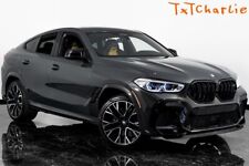 2021 BMW X6  picture