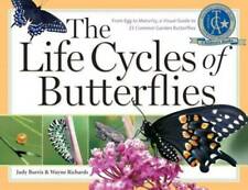 The Life Cycles of Butterflies: From Egg to Maturity, a Visual Guide to 2 - GOOD picture