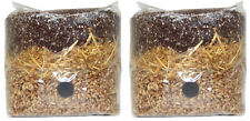 All in One Mushroom Grow Bag (2 Pack) picture