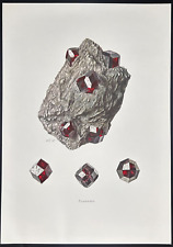 1969 Caspari vintage geology print: Almandine, mineral, crystal, gemstone picture