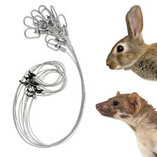 Mink & Rabbit Snare Wire Snare Trap 12pk – Rabbit Snare Traps – Small Game Traps picture