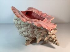 Vintage Atlantic Mold Iridescent Ceramic Conch Shell Planter picture