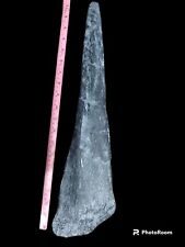 Stegosaurus stenops tail spike fossil cast replica-Dinosaurs-Paleontology picture